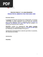 000318_CI-110-2008-PROMPERU-BASES.doc