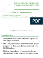 Chapter 5 The Structure and Function of Macromolecules