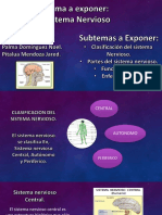 Presentación El Sistema Nervioso.