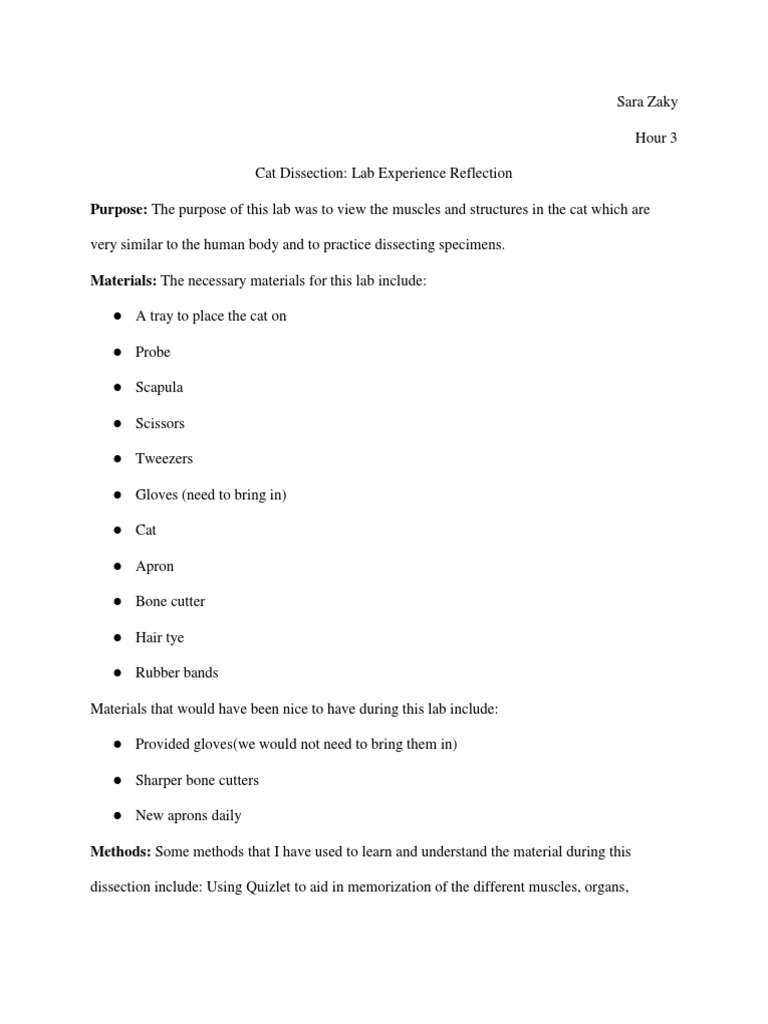 Cat Dissection Lab Experience Reflection PDF Human Digestive System