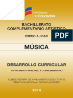 DESARROLLO CURRICULAR - INSTRUMENTO PRINCIPAL Y COMPLEMENTARIO.pdf