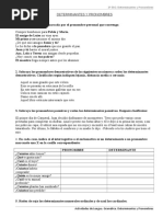 Determinantes y Pronombres