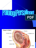 Patologi_Persalinan.ppt (1).ppt