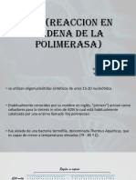 PCR Forense