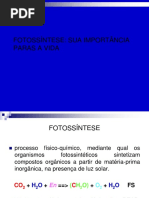 Aula 7 Fotossintese