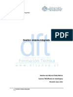 GSI Pablo Muñoz PDF
