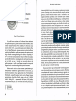 O Ensino da LI- Visões Contemporâneas 9.pdf