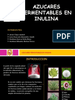 Azucares Fermentables en Inulina[1] - Copia