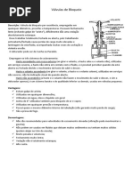 Resumão Válvulas