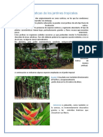 Características de Los Jardines Tropicales