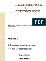 Paracoccidioidomicose e Coccidioidomicose Microbiologia 2017.2