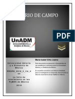 DIARIO DE CAMPO.docx