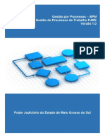 Metodologia Processos PJMS