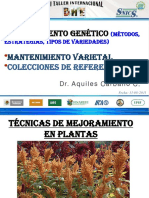 4_Mejoramiento.pdf