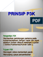 Prinsip p3k