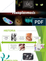 Toxoplasmosis 170520175429