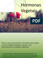 Hormonas vegetais