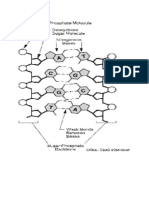 Model DNA