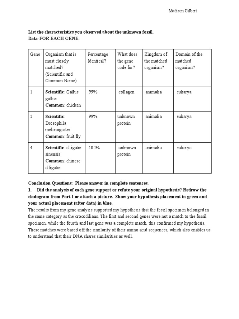 Blast Lab PDF Blast Gene
