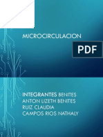 Clase 2 Fisiologia de La Microcirculacion Presentareste (1)