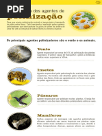 Importância Dos Agentes de Polinização