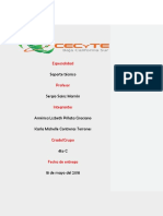 Especialidad: Soporte Técnico