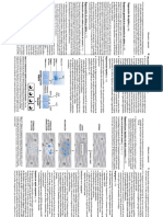 compendio anatomia patologica