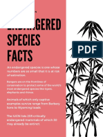 Endangered Species Facts