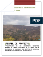 Perfil de Proyecto: Municipalidad Distrital de Quellouno