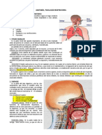 Teoria Respiratorio