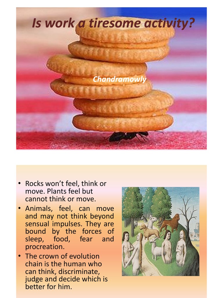 Is Work a Tiresome Activity Mind Happiness & SelfHelp