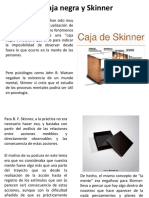 La Caja Negra y Skinner