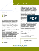 Tranq Fact Sheet Translation Spanish