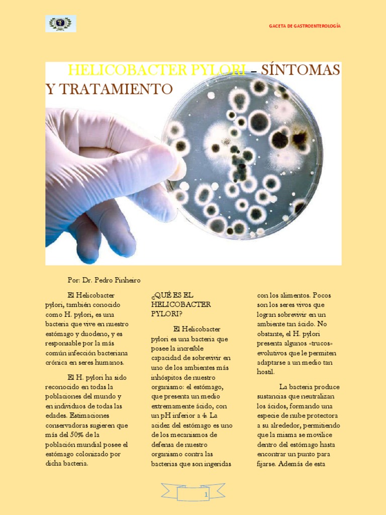 Helicobacter Pylori Sintomas Y Tratamiento Estomago