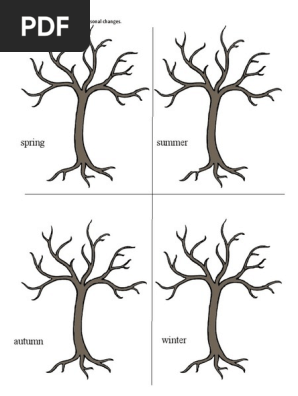Four Seasons Tree