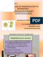 Bacterias Que Se Transmiten Por Vía Respiratoria