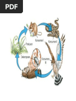 Surat Permohonan Pembuatan NPWP Karyawan.pdf