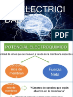 BIOELECTRICIDAD.pptx