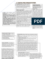 Esquema Del Proceso Penal