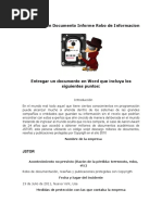 Resumen Documento Informe Robo de Informacion