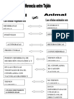 Diferencia Entre Tejido Vegetal y Animal