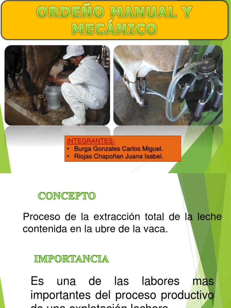 Ordeño Manual y Mecanico | Leche | Vacas