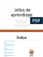 Estilos de Aprendizaje