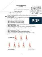 230221923-Curs-3-Tratamentul-Endodontic.pdf