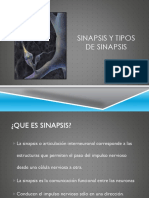 Sinapsis y tipos de sinapsis.pptx