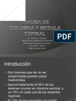 Traumadecolumnaymedulaespinal 120928083413 Phpapp01