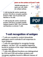 The antigen receptors on T and B cell surfaces