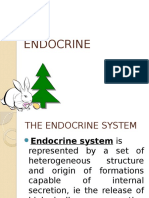 ENDOCRINE to Be Continued...