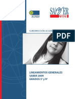 LINEAMIENTOS_SABER_2009.pdf
