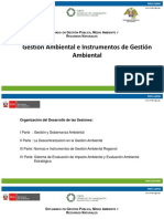 Gestion Ambiental e Instrumentos de Gestion